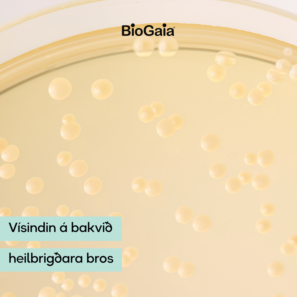 Vísindin á bakvið BioGaia Prodentis